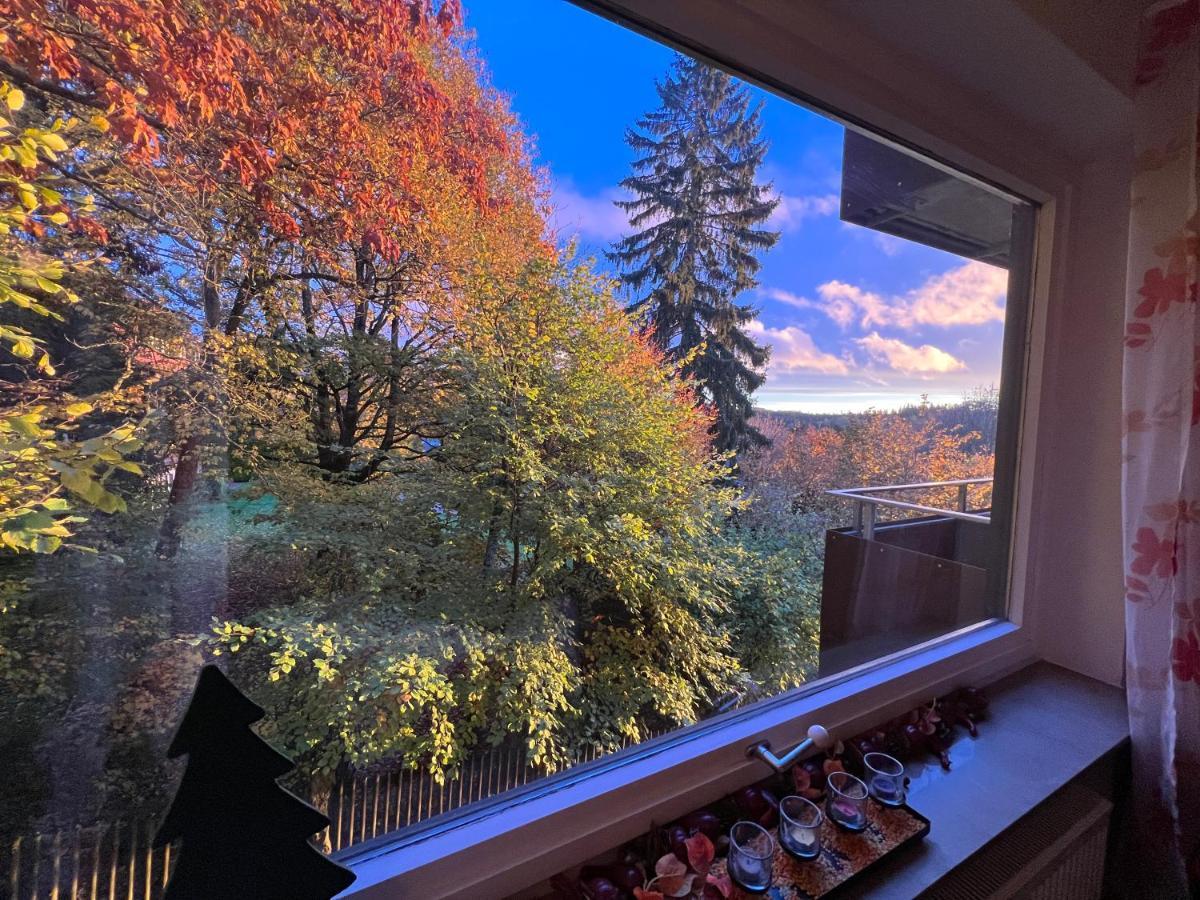 Moderne Und Zentral Gelegene Ferienwohnung In Braunlage Mit Rodelpiste Und Start Ski Langlauf In 300 Metern Entfernung Extérieur photo