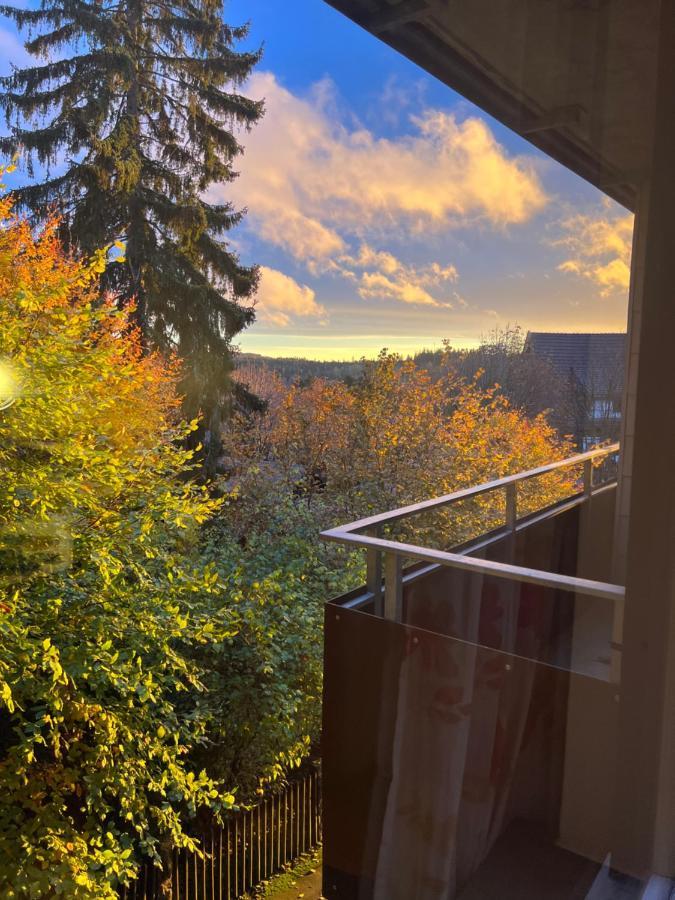 Moderne Und Zentral Gelegene Ferienwohnung In Braunlage Mit Rodelpiste Und Start Ski Langlauf In 300 Metern Entfernung Extérieur photo