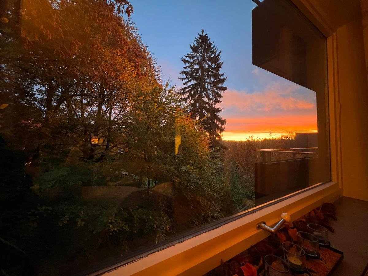 Moderne Und Zentral Gelegene Ferienwohnung In Braunlage Mit Rodelpiste Und Start Ski Langlauf In 300 Metern Entfernung Extérieur photo
